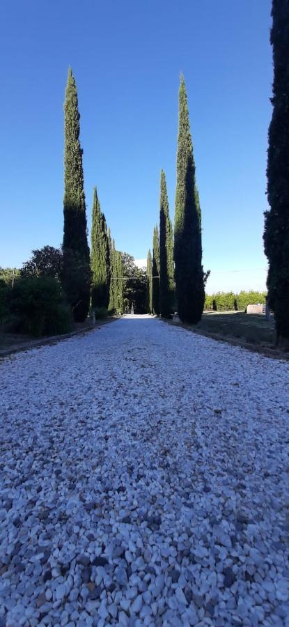 B&B Agriturismo Regno Di Toscana Collesalvetti Luaran gambar
