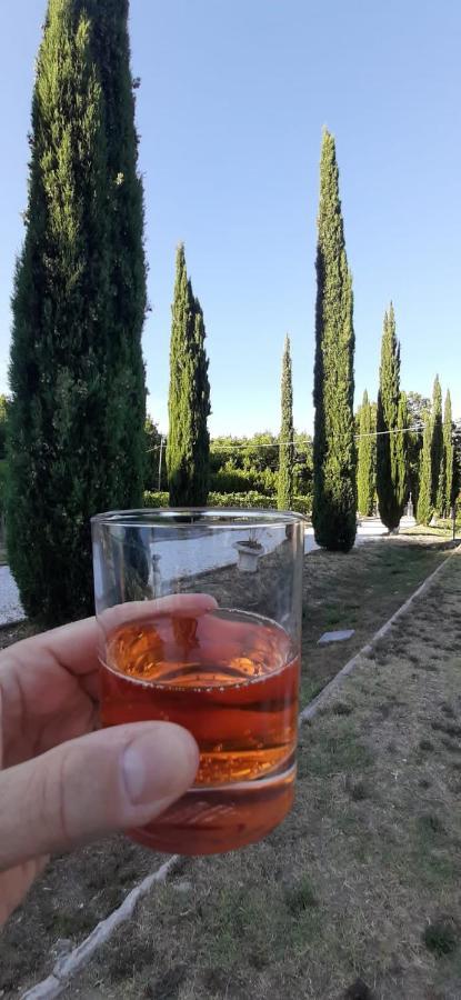 B&B Agriturismo Regno Di Toscana Collesalvetti Luaran gambar