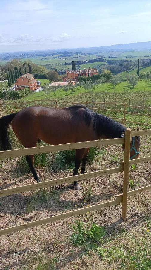 B&B Agriturismo Regno Di Toscana Collesalvetti Luaran gambar